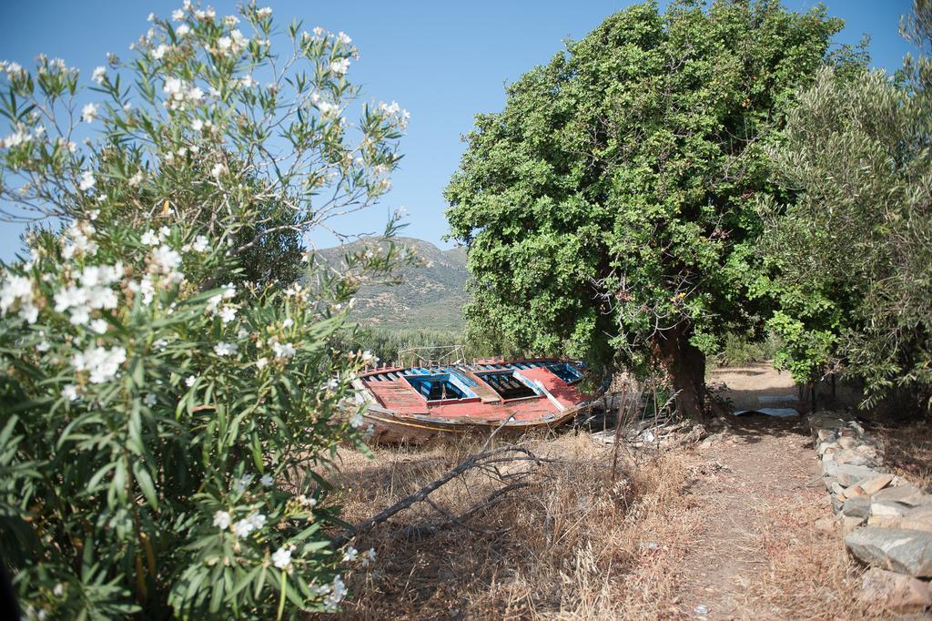 Blue Pearl Villa Amigdhalokefali Exterior photo